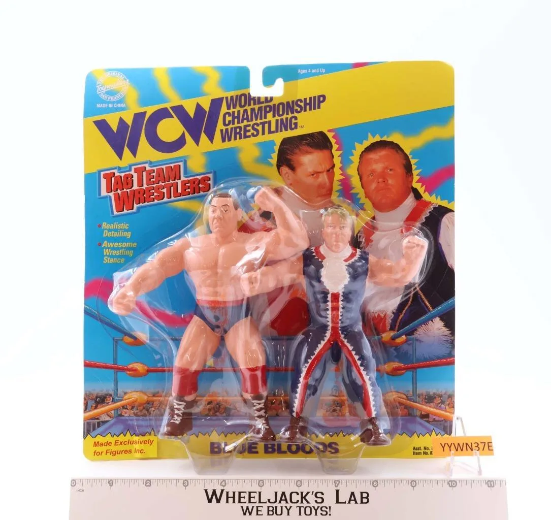 Blue Bloods Tag Team Wrestlers NEW MOSC 1994 WCW Original Toymakers SF Figure